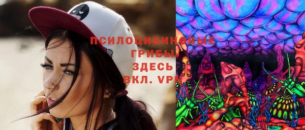 спиды Елабуга