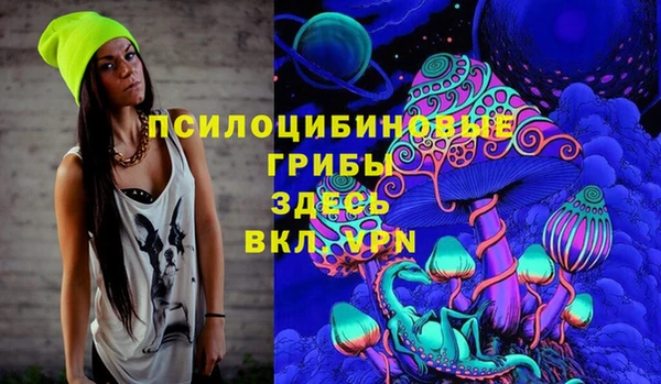 2c-b Елизово