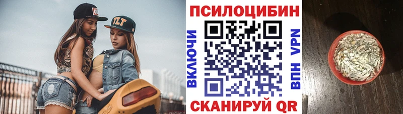 купить наркоту Нижневартовск сайты даркнета формула Псилоцибиновые грибы мицелий
